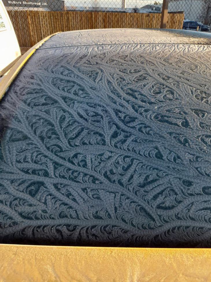 Nature’s Curiosities, Frost pattern on a car