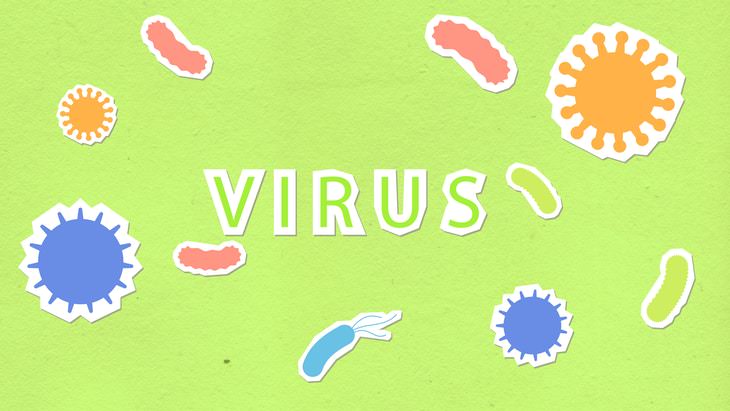 Flurona virus