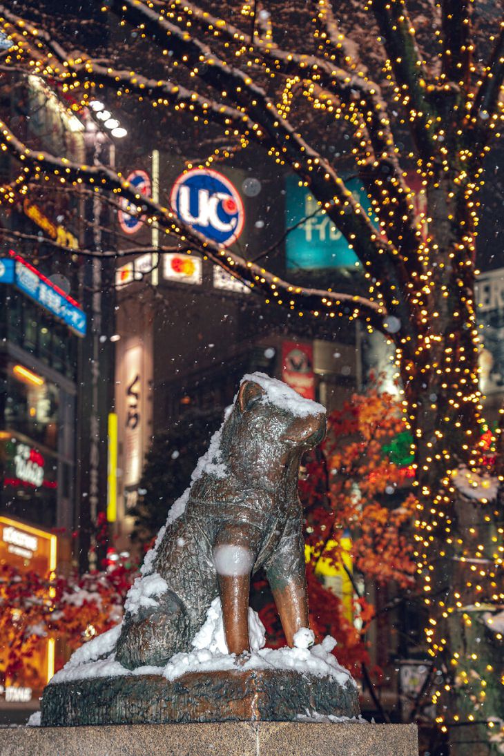 Snow-Blanketed Tokyo, Hachikō