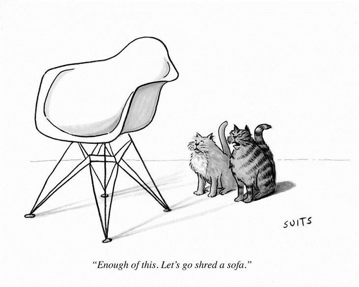 One-Panel Comics, cats