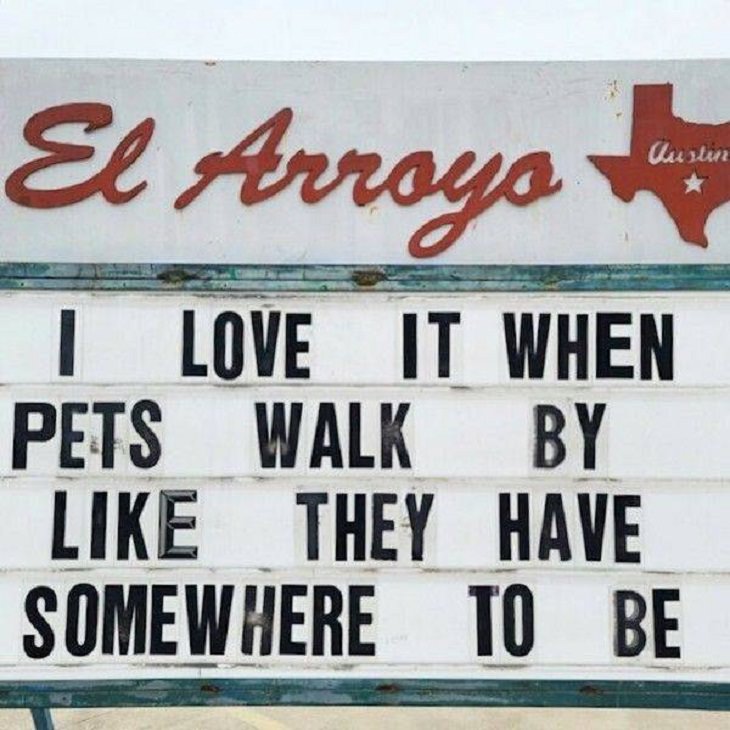 Restaurant funny signs, pets