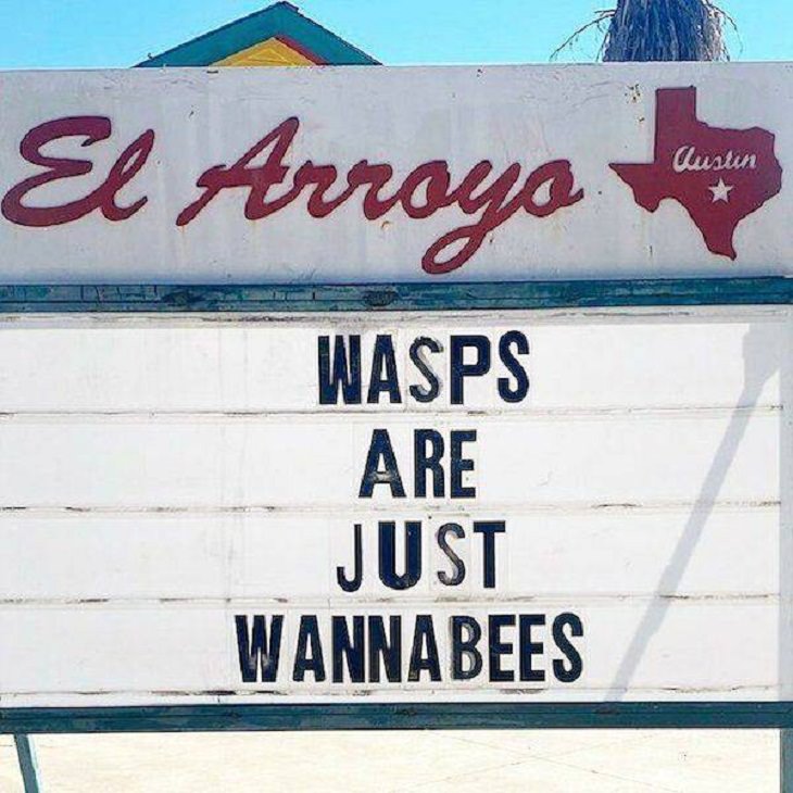 Restaurant funny signs, wasps