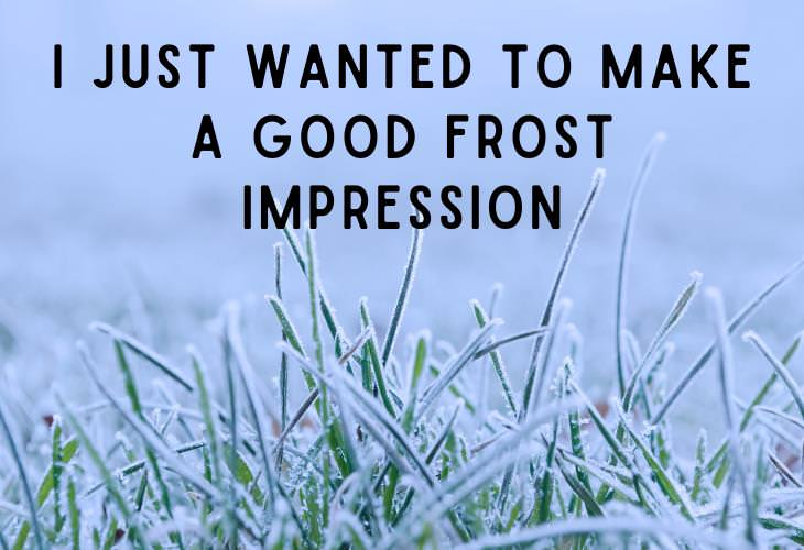 Winter Puns, frost