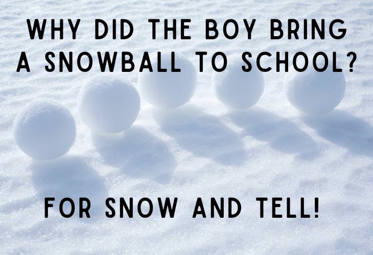 Winter Puns, snowball
