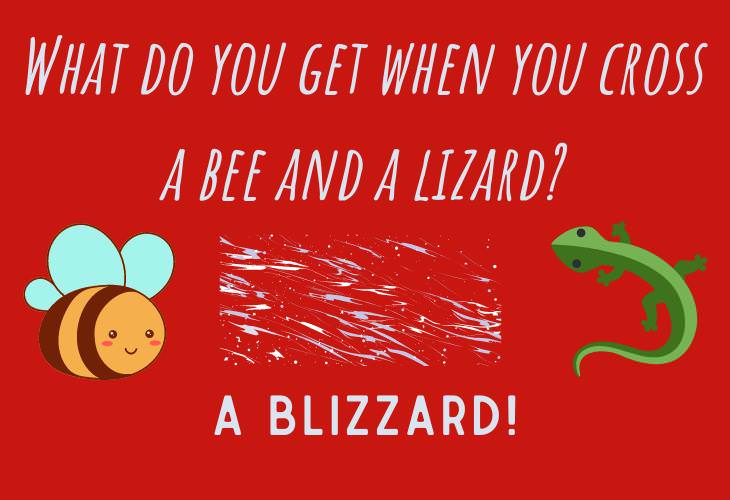 Winter Puns, blizzard