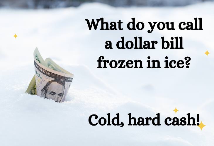 Winter Puns, dollar