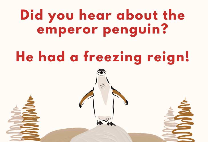 Winter Puns, penguin