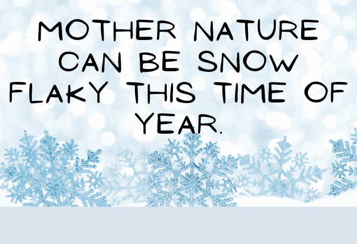 Winter Puns, nature