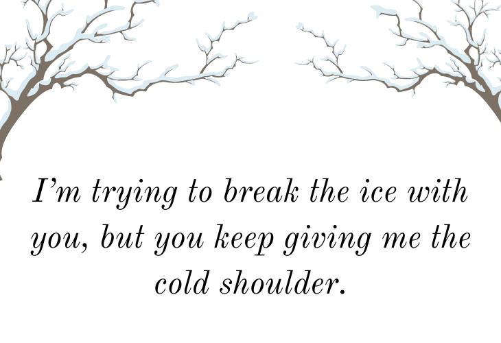 Winter Puns, ice