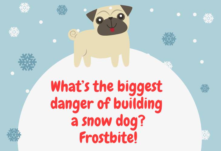 Winter Puns, dog