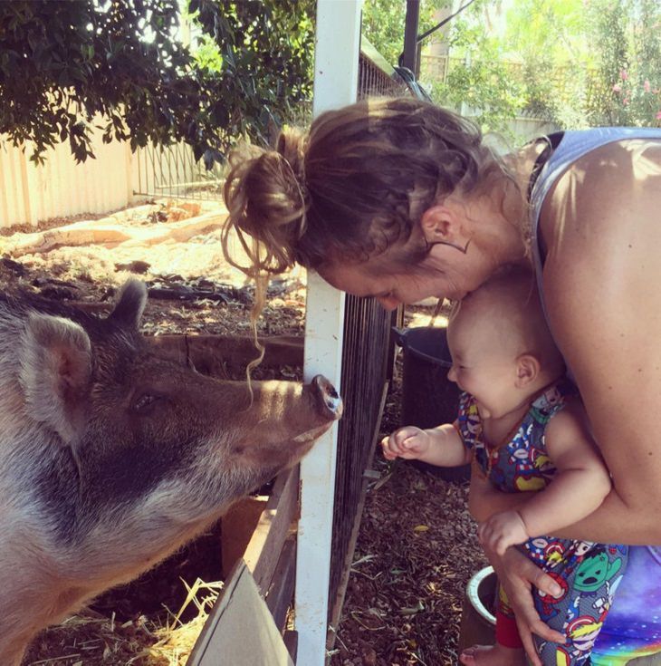 Toddlers & Pets, pig