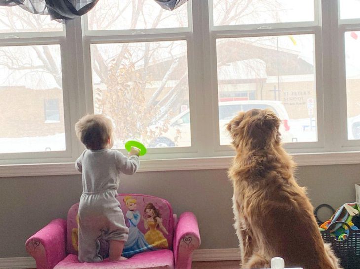 Niños pequeños y mascotas , perro y bebé mirando por la ventana