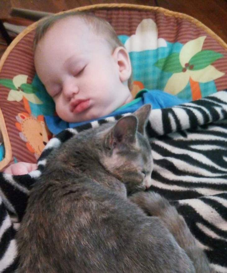 Niños pequeños y mascotas, gato y bebé durmiendo