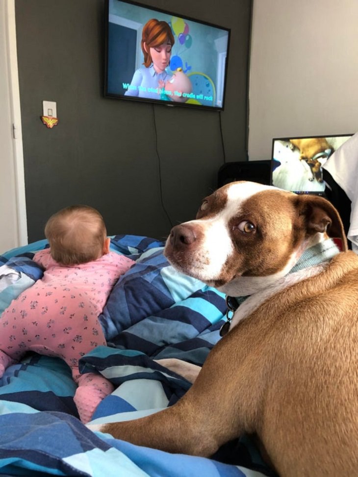 Niños pequeños y mascotas, perro y bebé viendo tv
