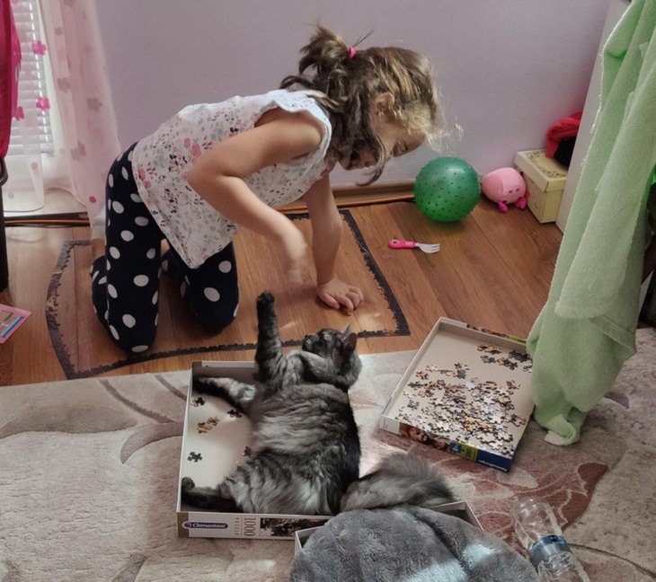 Toddlers & Pets,  jigsaw puzzle, cat