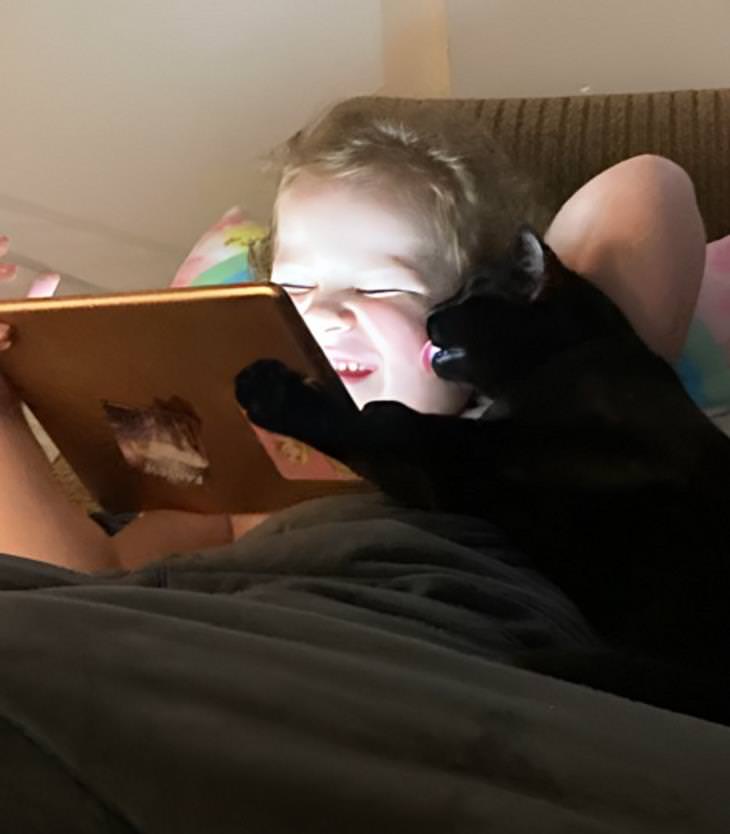 Toddlers & Pets,  adopted cat 