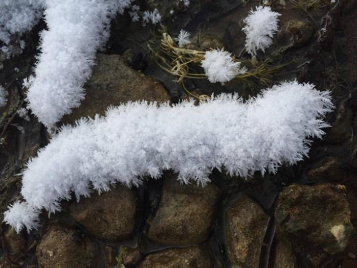 Accidental Snow Art, ice crystal caterpillars
