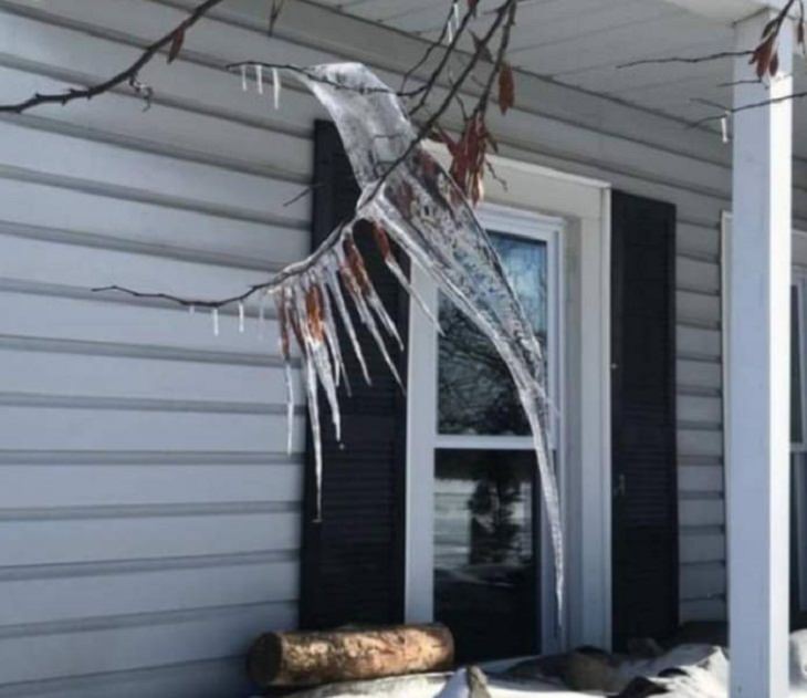 Accidental Snow Art, icicle shaped like a hummingbird