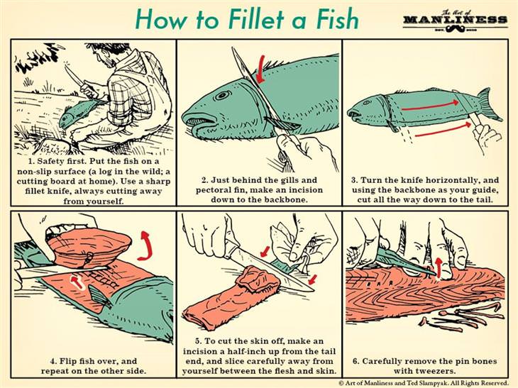Useful Charts how to filet a fish