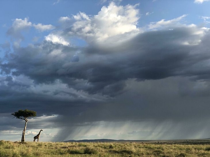 Gorgeous Landscapes, Masai Mara 