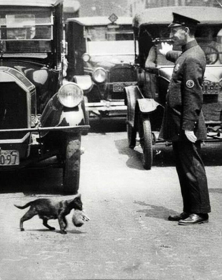 Historical Photos Traffic enforcer stops cars in New York 