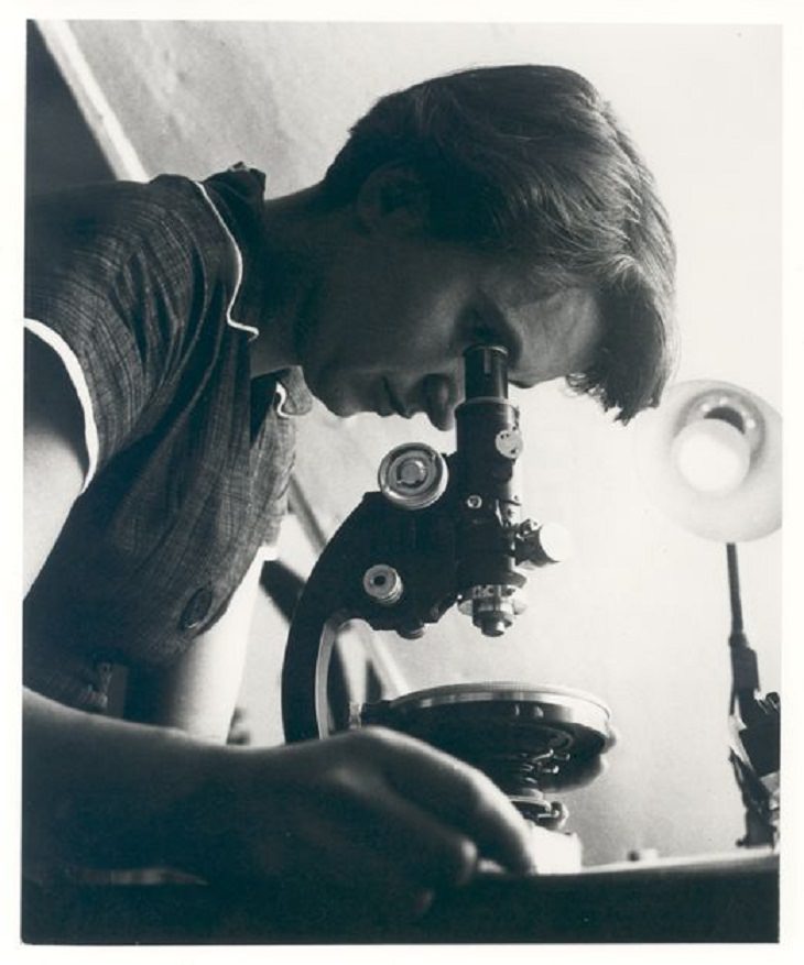Influential Female Scientists, Rosalind Franklin