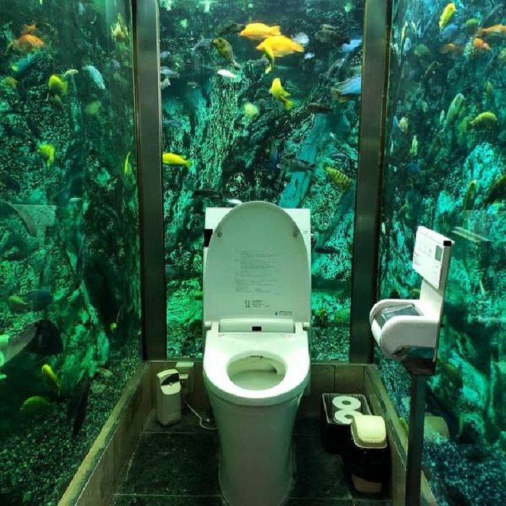 Japan is Unique, aquarium toilet