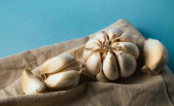 Garlic Storage garlic on fabric