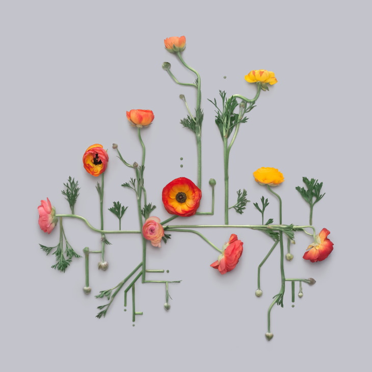 Art by Kristen Meyer poppy flowers