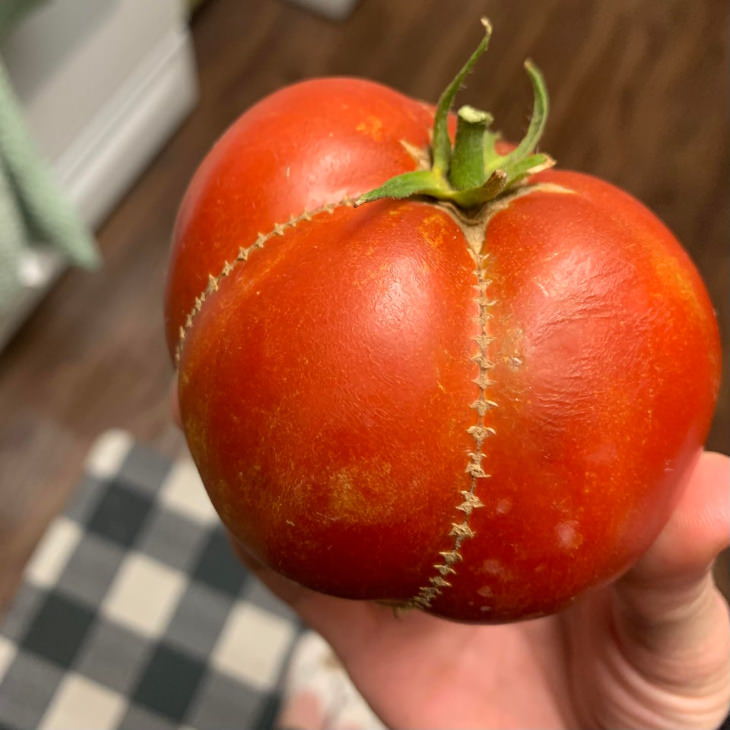 Confusing Pictures tomato
