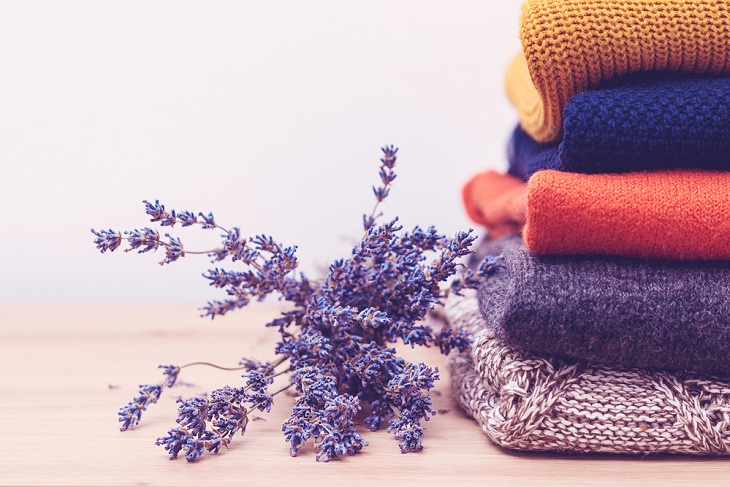 Tips to Take Care of Woolens,  Lavender Leaves