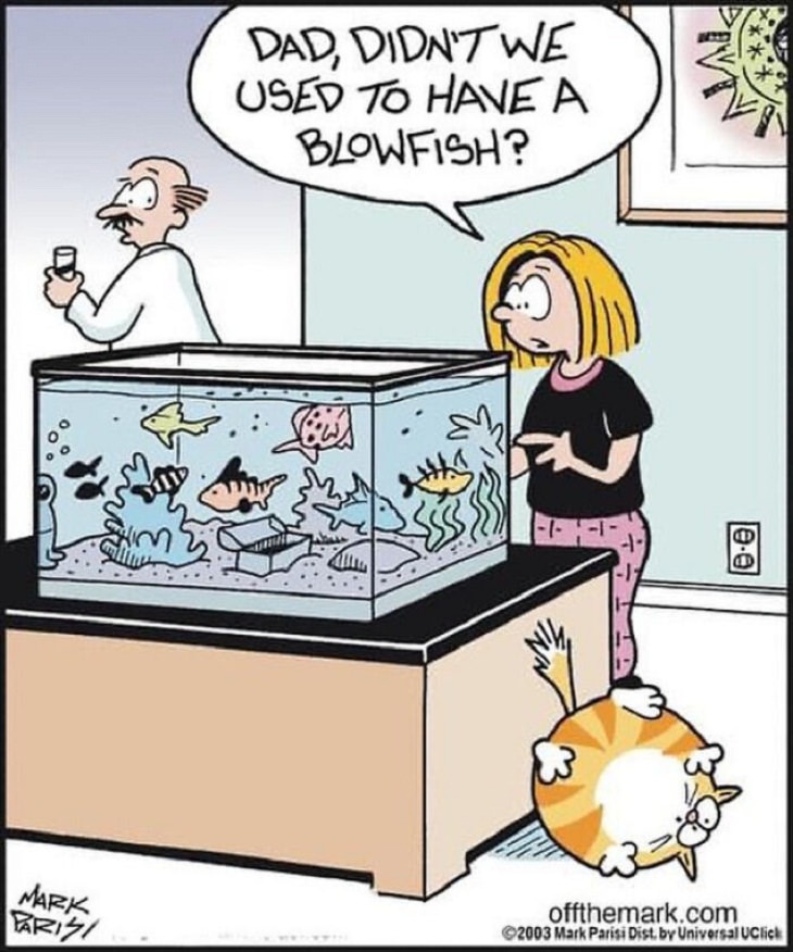 One-Panel Comics, cat, fish