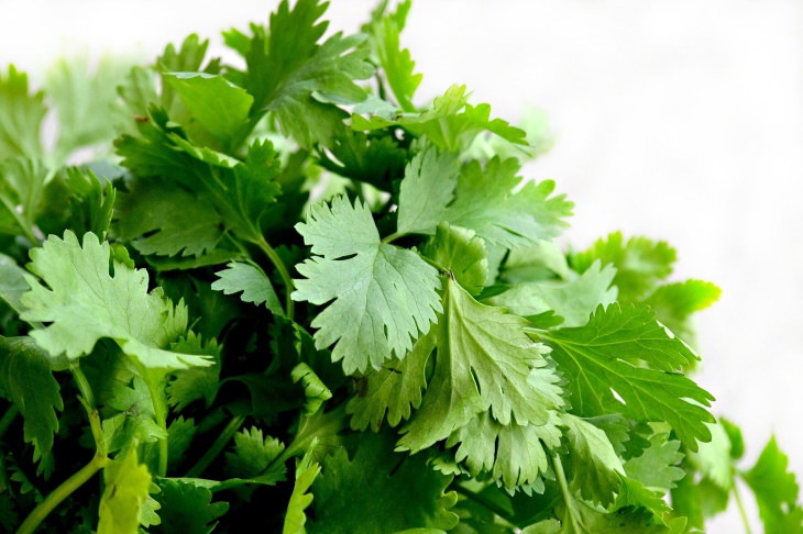 Foods With Weird Body Reactions Cilantro