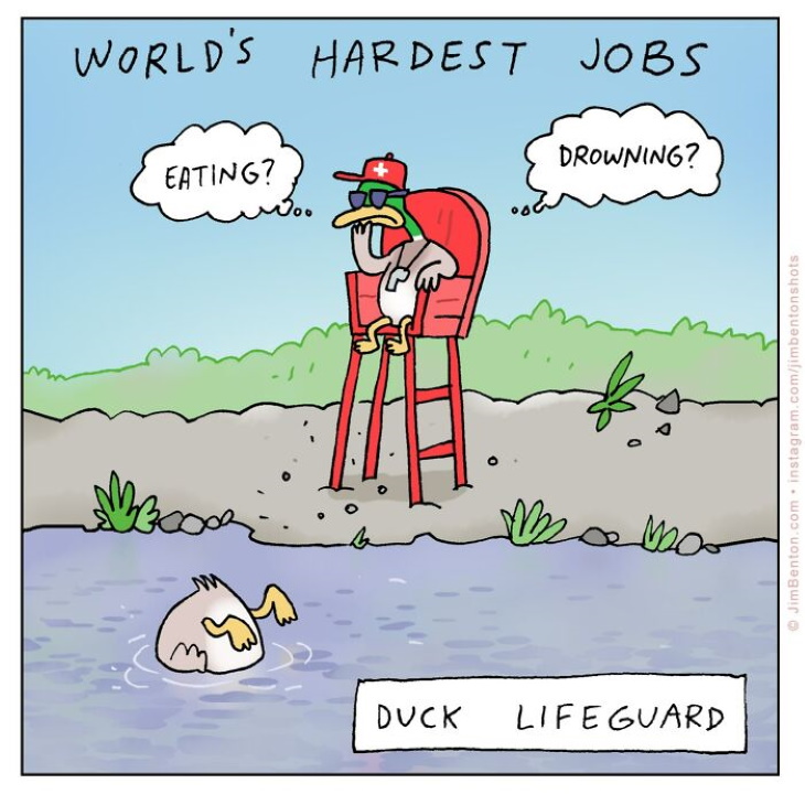 Jim Benton Comics duck lifeguard