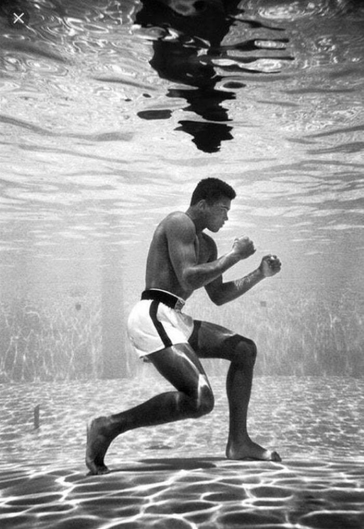 Vintage Celebrity Photos Muhammad Ali training in a pool at the Sir John Hotel, in Miami (1961)