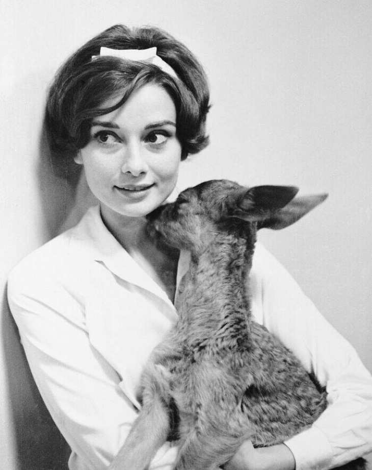 Vintage Celebrity Photos Audrey Hepburn