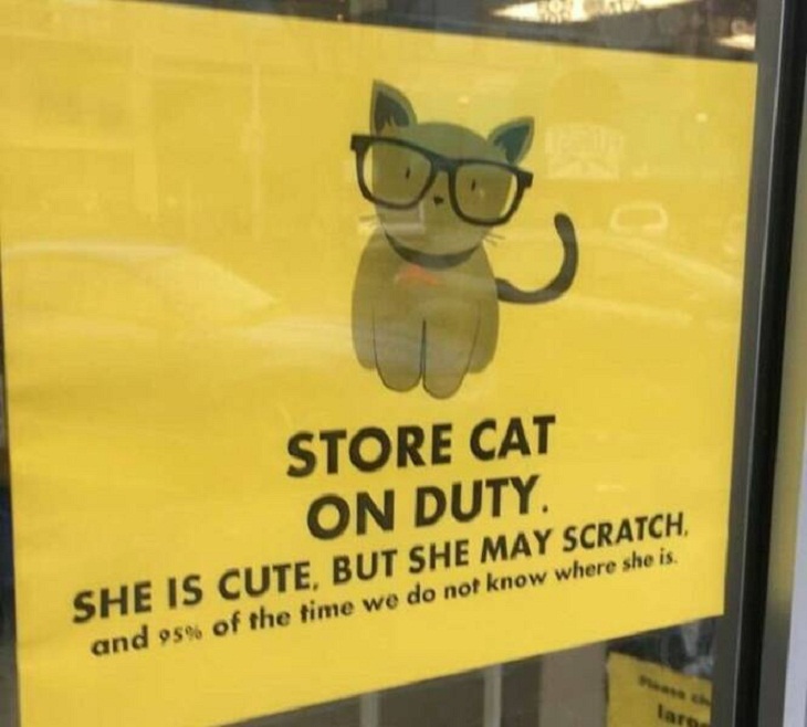 Genius Signs, cat