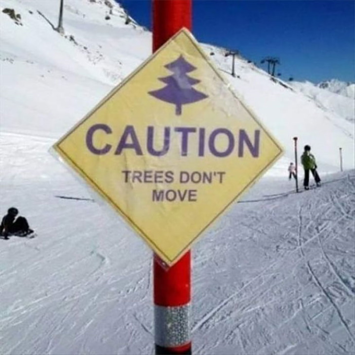 Funny Signs trees don't move