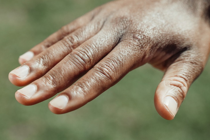 Signs of a Healthy Diet hand