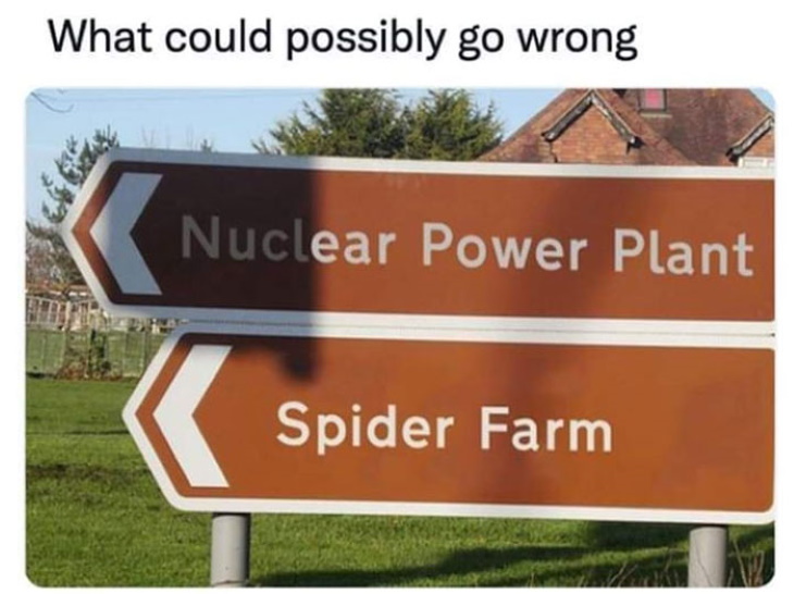 Funny Signs Spiderman's birthplace!
