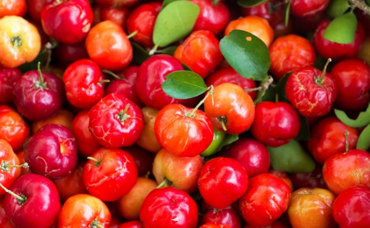 Acerola cherry - cherry assortment 