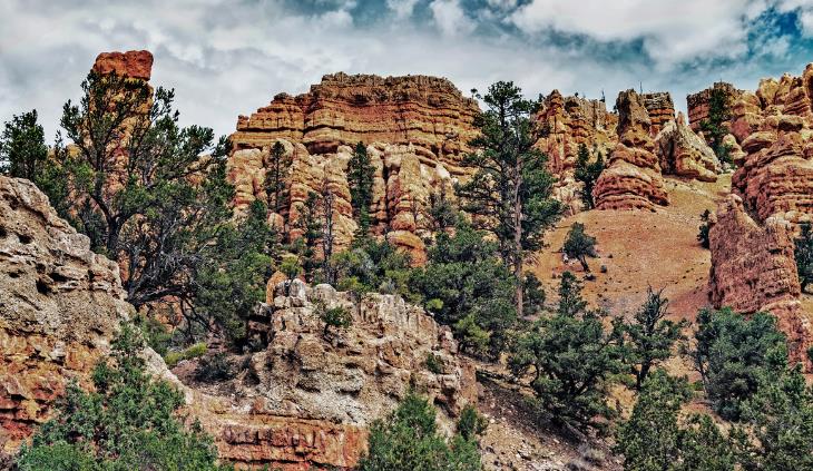 Lugares Geológicos En Utah, El sendero Cassidy en el Bosque Nacional Dixie