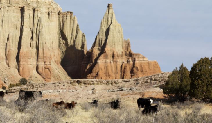 Lugares Geológicos En Utah, Parque estatal de la cuenca de Kodachrome