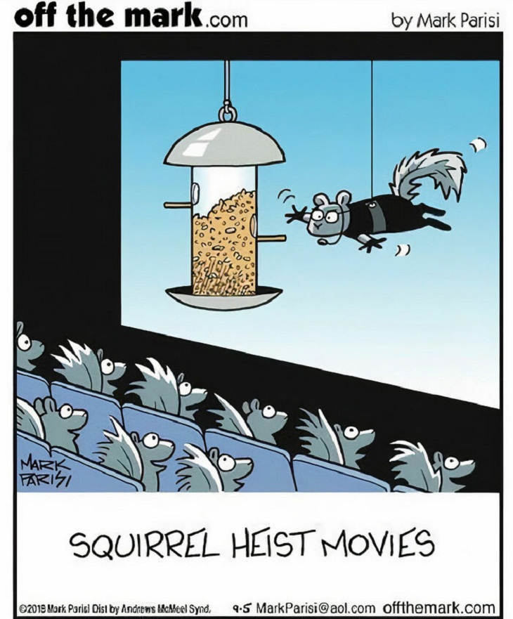 One-Panel Comics, squirrel 