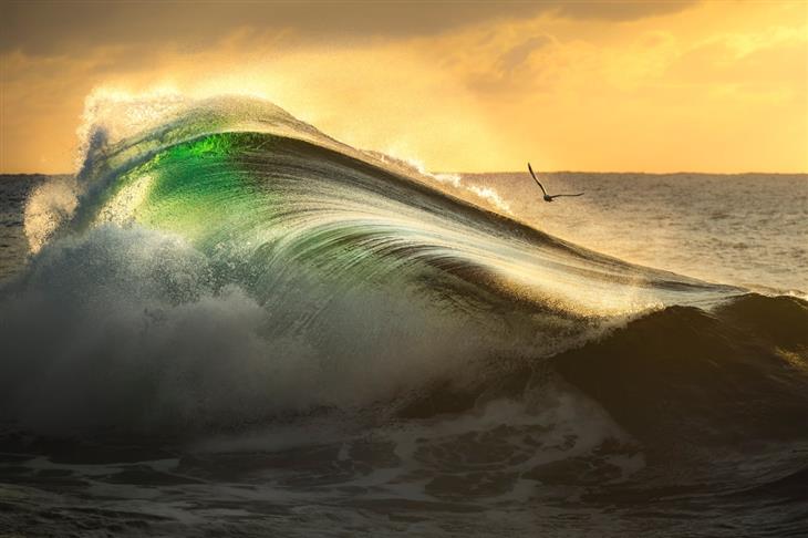 2022 Ocean Photographer of the Year Gergo Rugli