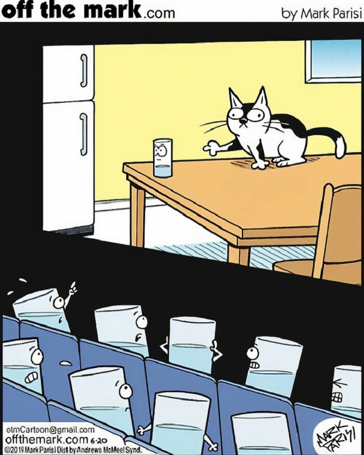 One-Panel Comics, cat