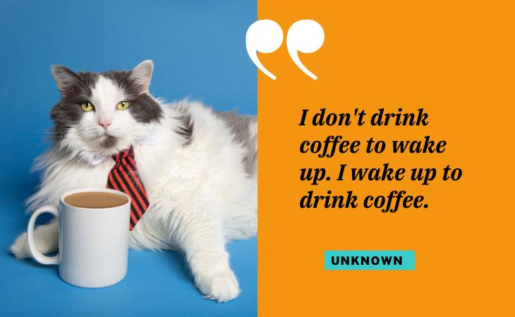 Hilarious Coffee Quotes, wake up