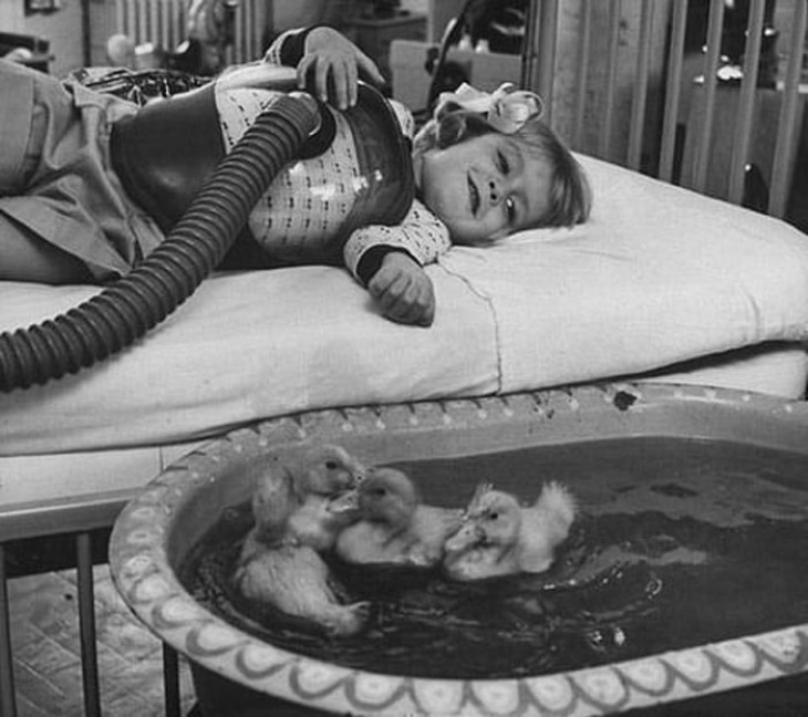 Vintage Photos Animals used for psychological and medical therapy in kids