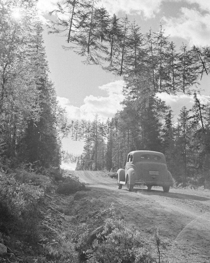 Vintage Photos camouflaged road in Finland during World War II