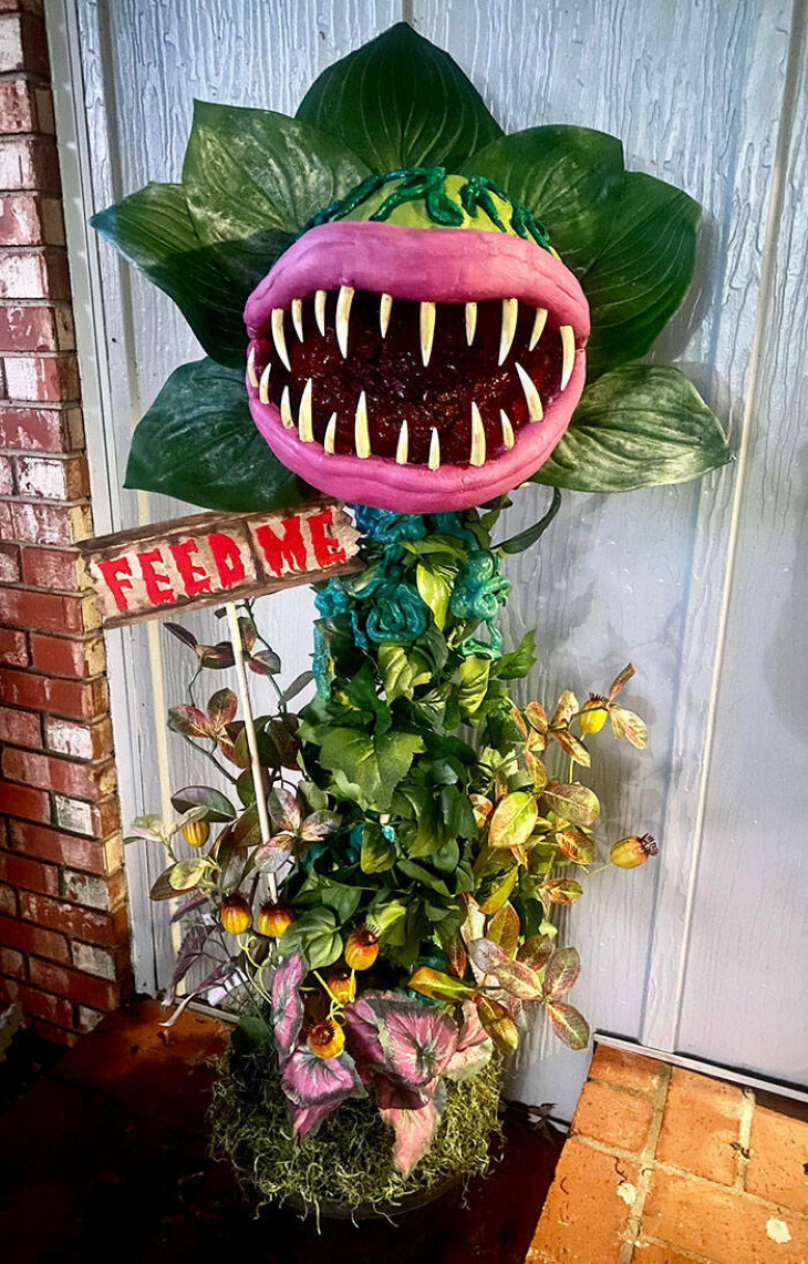Halloween Home Makeovers plant carnivore